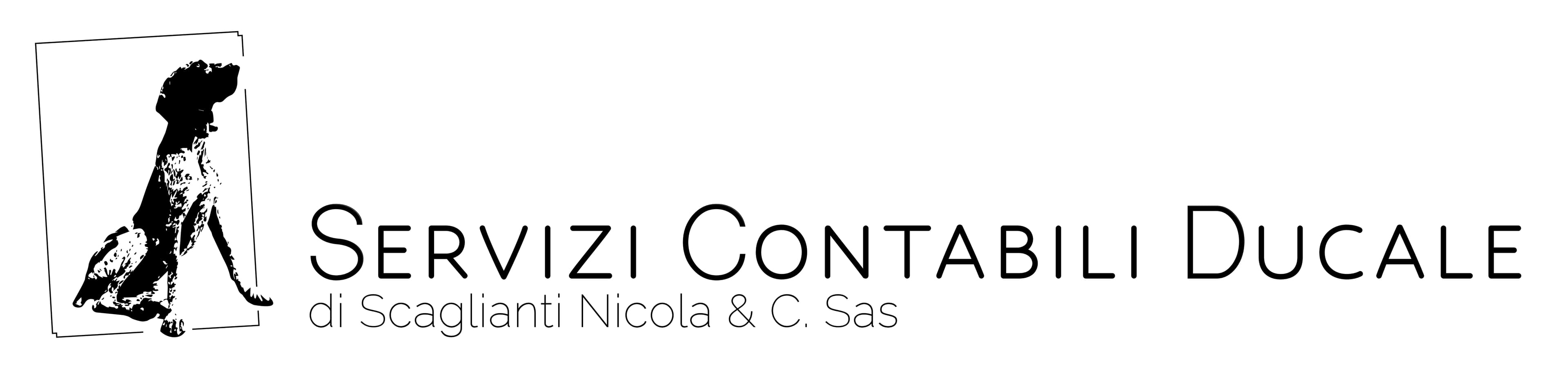 Logo Professionisti Ducale