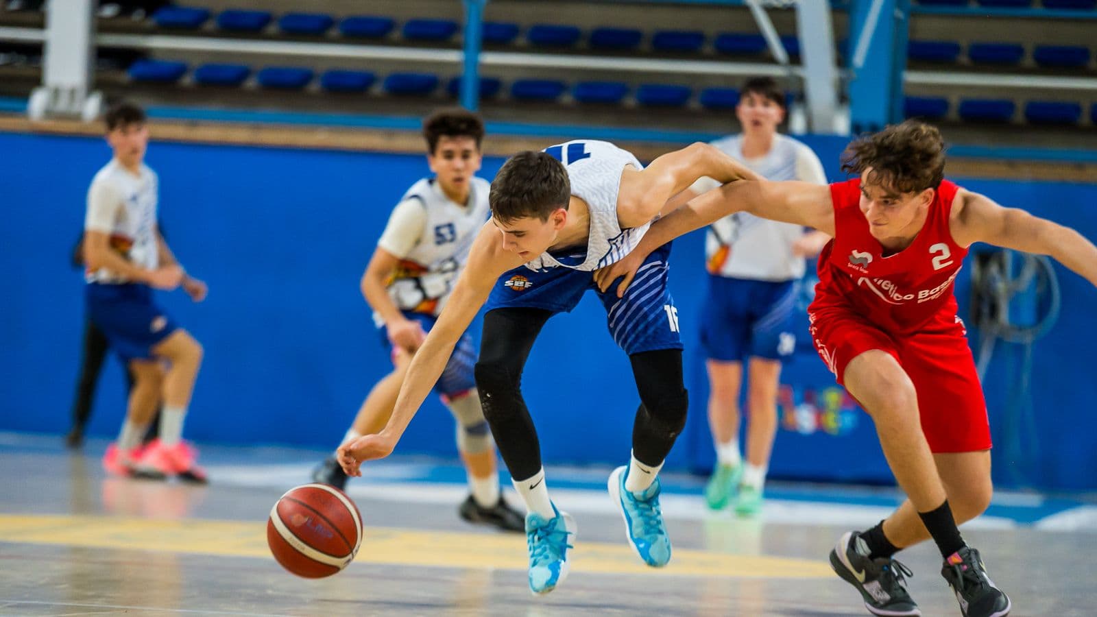 Senior e giovanili, il recap in casa Scuola Basket (09/02-16/02)